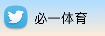 必一体育 Logo